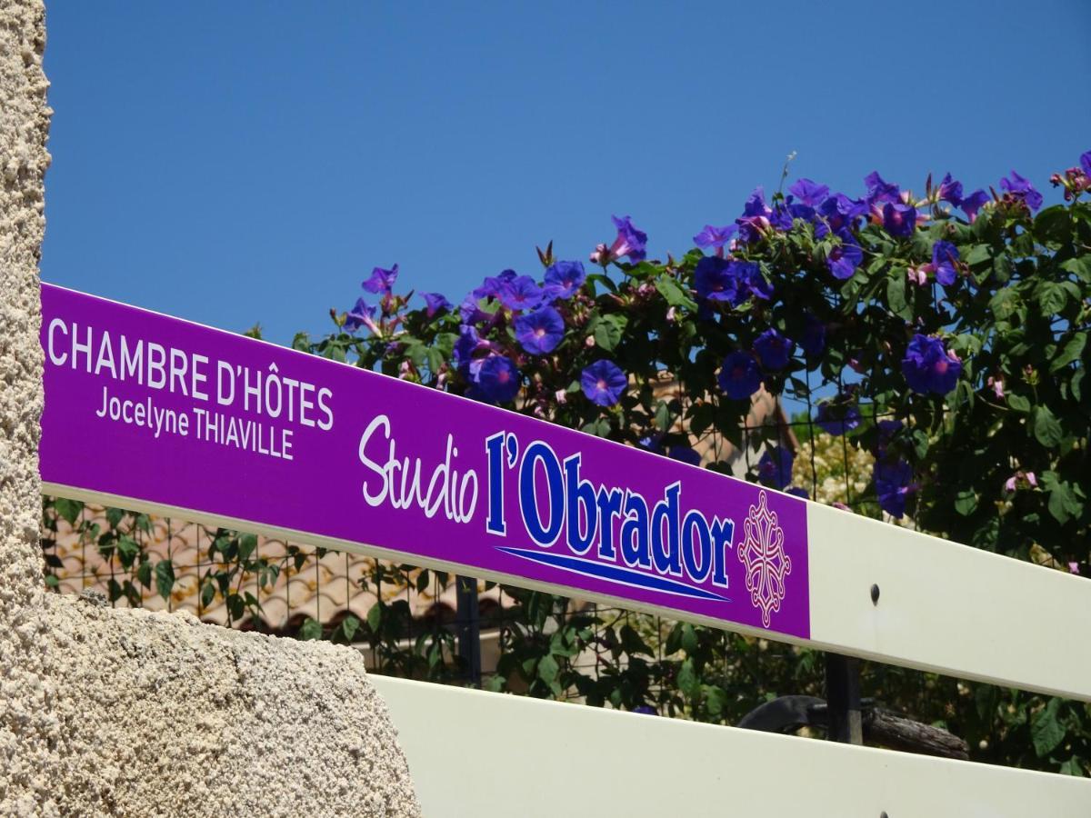 Studio L'Obrador 25 M2 - Cuisine & Terrasse - Acces Piscine Rieux-Minervois Ngoại thất bức ảnh